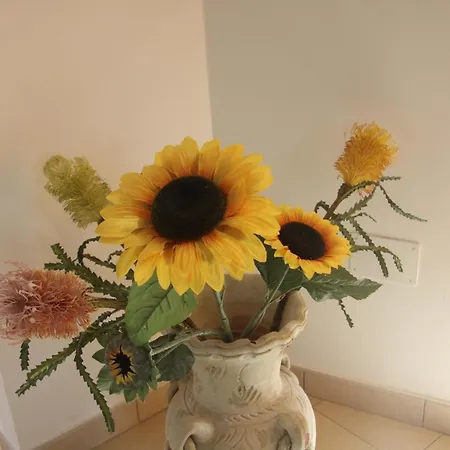 Le Margherite Foligno