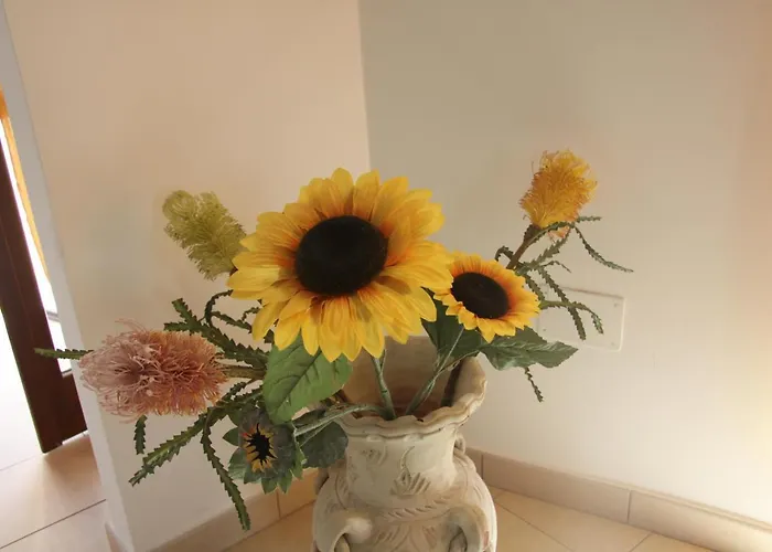 Le Margherite Foligno